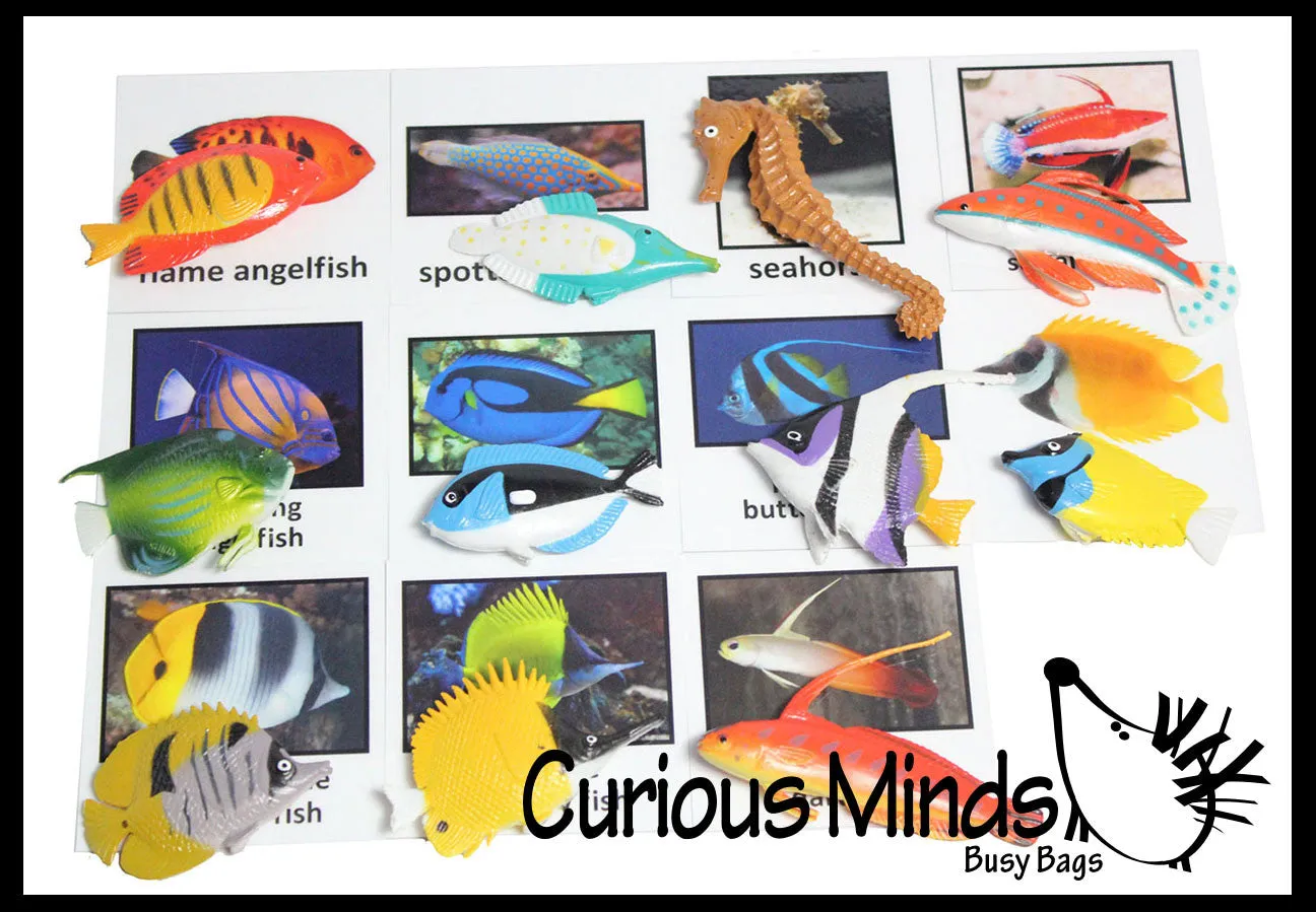 Animal Match - TROPICAL FISH - Miniature Animals with Matching Cards - 2 Part Cards.  Montessori learning toy, language materials - Tropical Fish