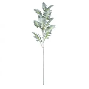 DUSTY MILLER STEM
