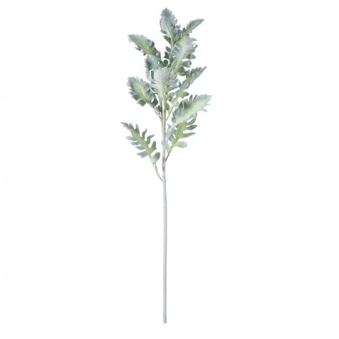 DUSTY MILLER STEM