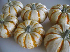 GX15 - 7 x 7 Inch Harvest Pumpkins Texture Tile Mold for Glass Slumping Kilnwork