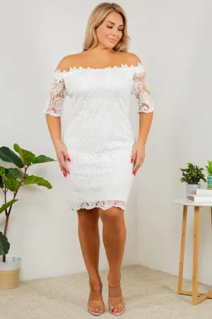 Hanna Off Shoulder Plus Size Dress
