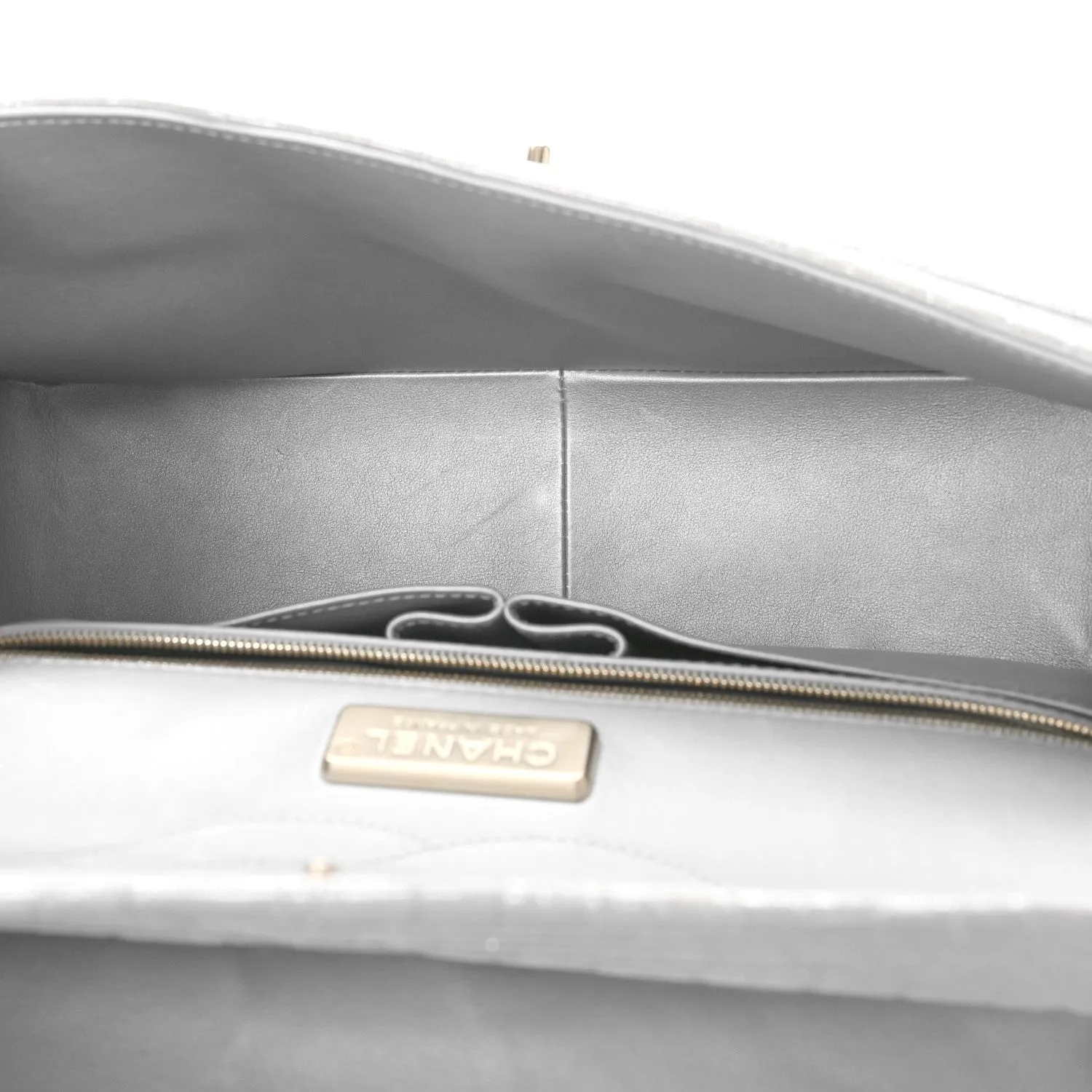 Iridescent Alligator Jumbo Double Flap Light