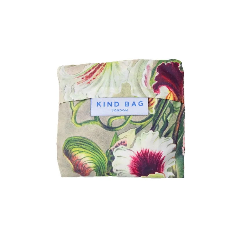 KIND Reusable Shopping Bag Medium Museum Haeckel