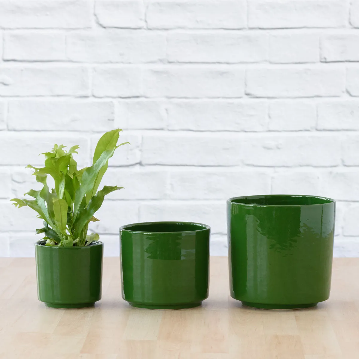 Migo Planter - Forest Green