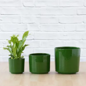 Migo Planter - Forest Green