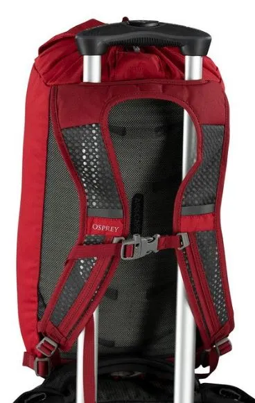 Osprey - Daylite Cinch