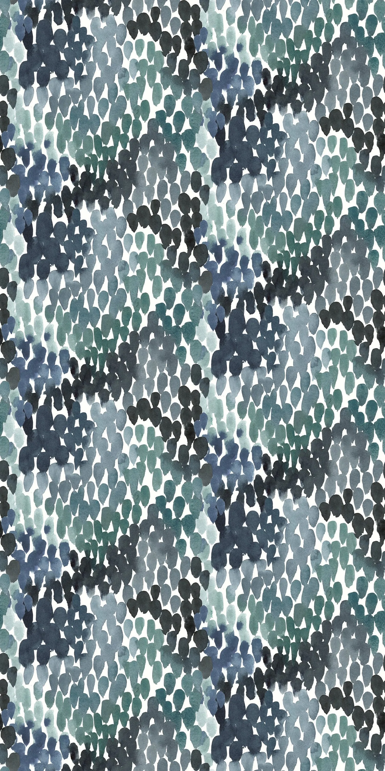 Rapids