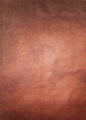 Studio Texture Backdrop/Floor TX12